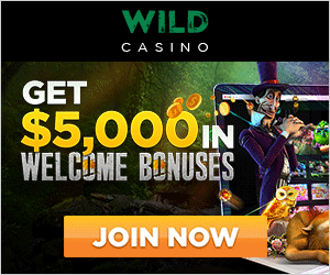 wild casino bonus codes